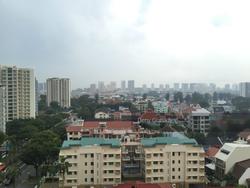 esta-ruby photo thumbnail #4